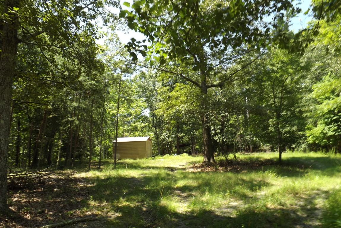 900 Stump Hollow Road Spring City, TN 37381 - Photo 4 of 12 Stump Hollow 4