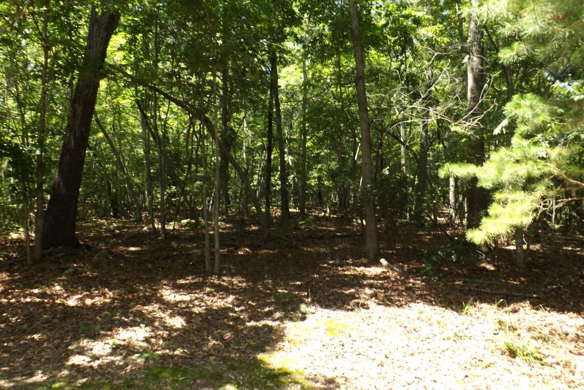 900 Stump Hollow Road Spring City, TN 37381 - Photo 7 of 12 Stump Hollow 7