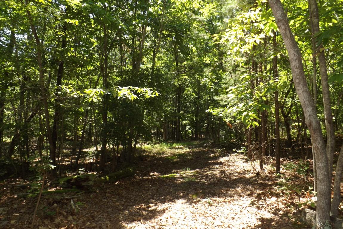900 Stump Hollow Road Spring City, TN 37381 - Photo 8 of 12 Stump Hollow 8