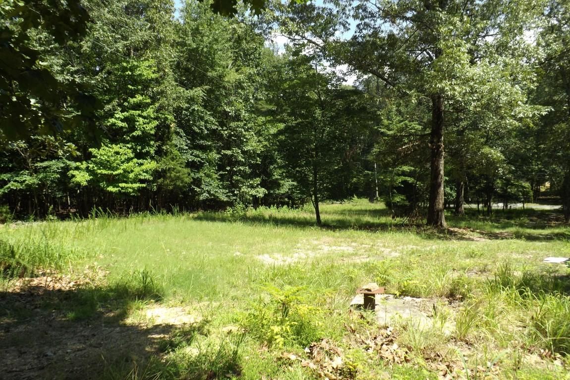 900 Stump Hollow Road Spring City, TN 37381 - Photo 9 of 12 Stump Hollow 9