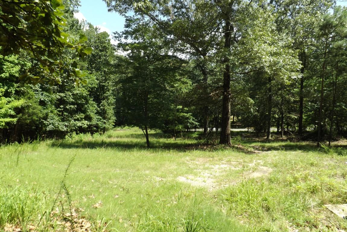 900 Stump Hollow Road Spring City, TN 37381 - Photo 10 of 12 Stump Hollow 10