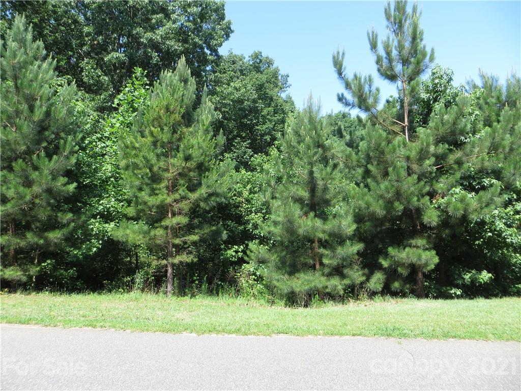 0 Blair Road, Unit 12 Maiden, NC 28650 - Photo 3 of 4 Gallery Image 3