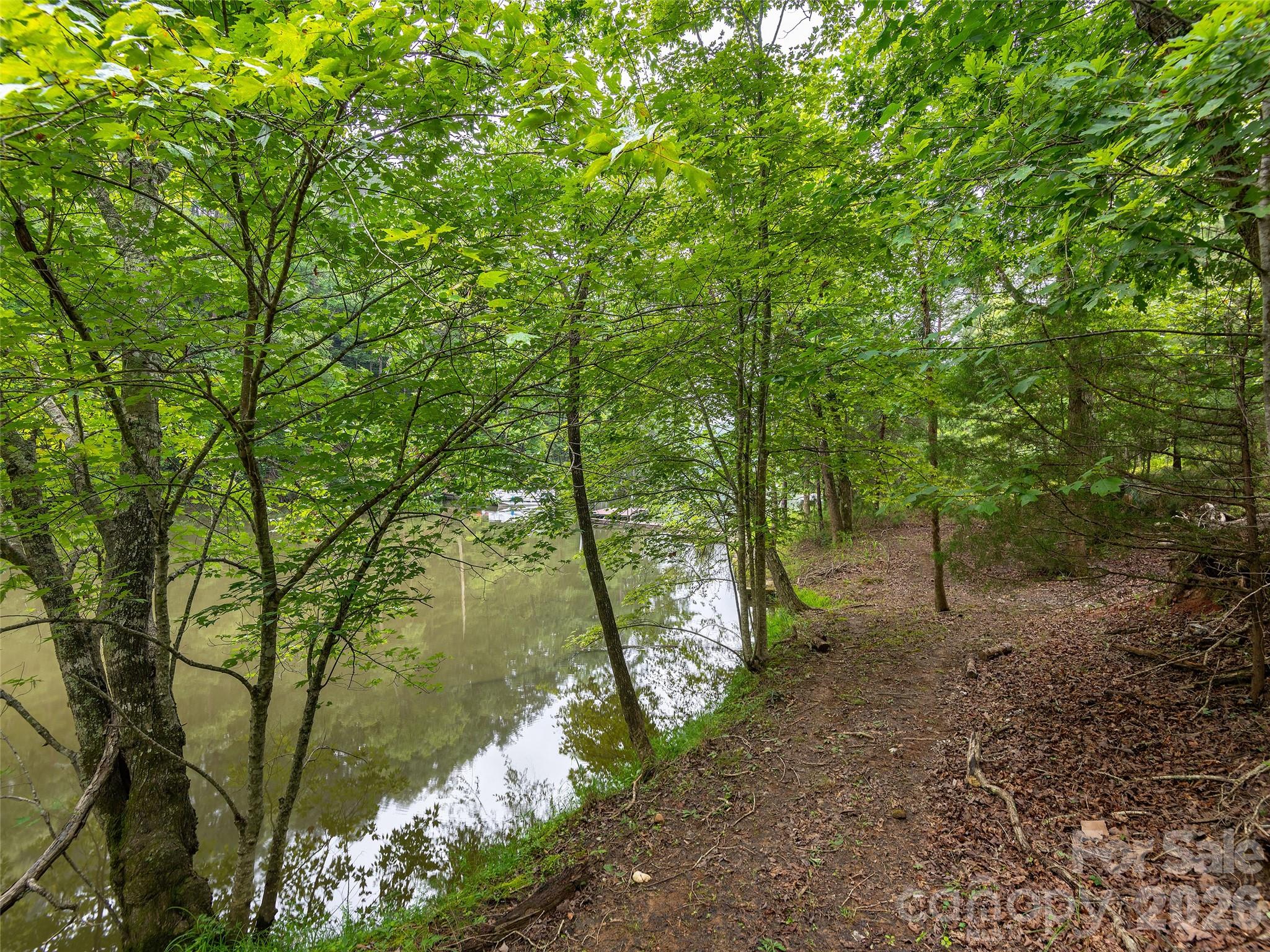 Lot #28 Parkway North Rd Mill Spring, Unit 28 Mill Spring, NC 28756 - Photo 8 of 17