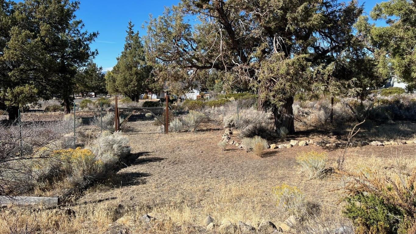 16643 Friar Road Weed, CA 96094 - Photo 21 of 23 Gallery Image 21