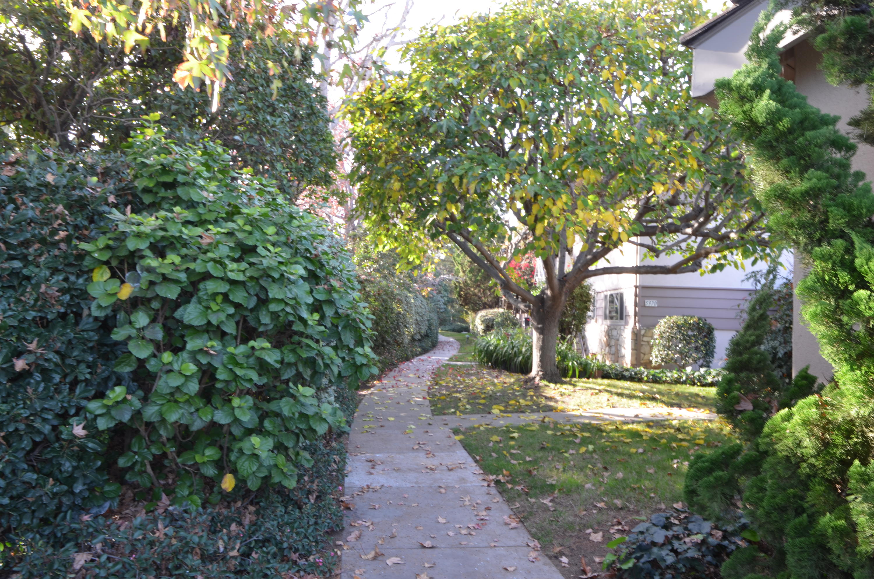 DSC_1102