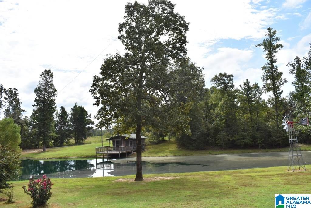 2262 Gilberts Ferry Road Ohatchee, AL 36271 - Photo 46 of 47