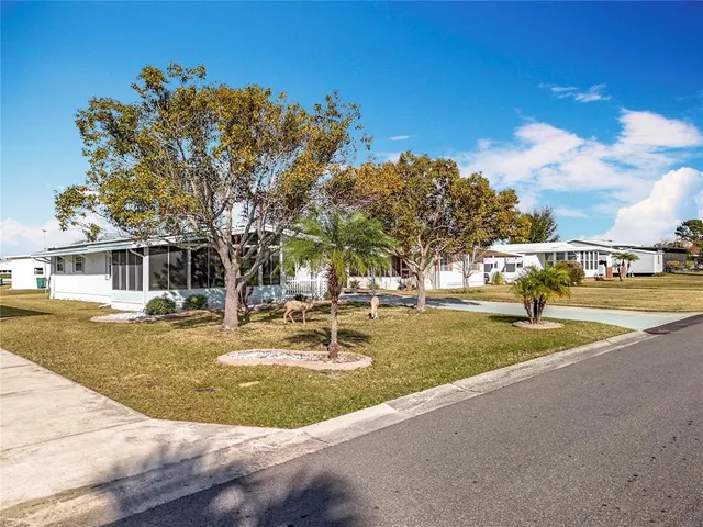 a view of a swimming pool with lawn chairs plants and large trees