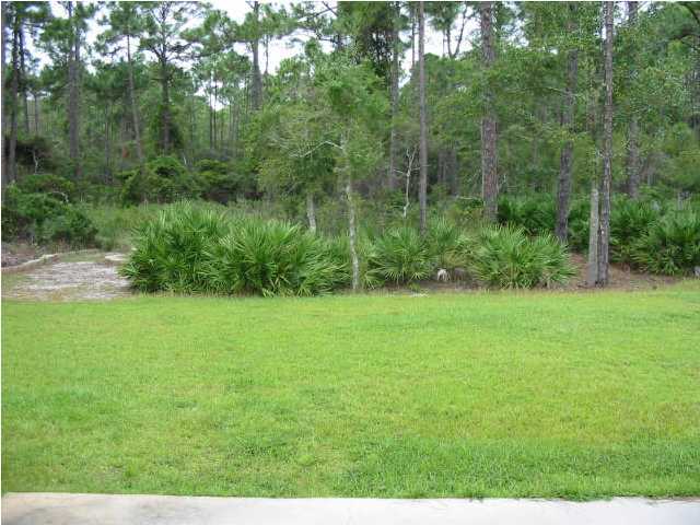 48 Red Maple Court Santa Rosa Beach, FL 32459 - Photo 5 of 5 a view of a yard with a tree