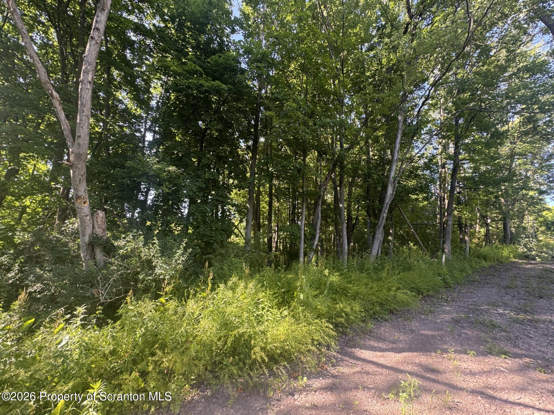 Fern Street Clarks Summit, PA 18411 - Photo 1 of 4 Main Photo