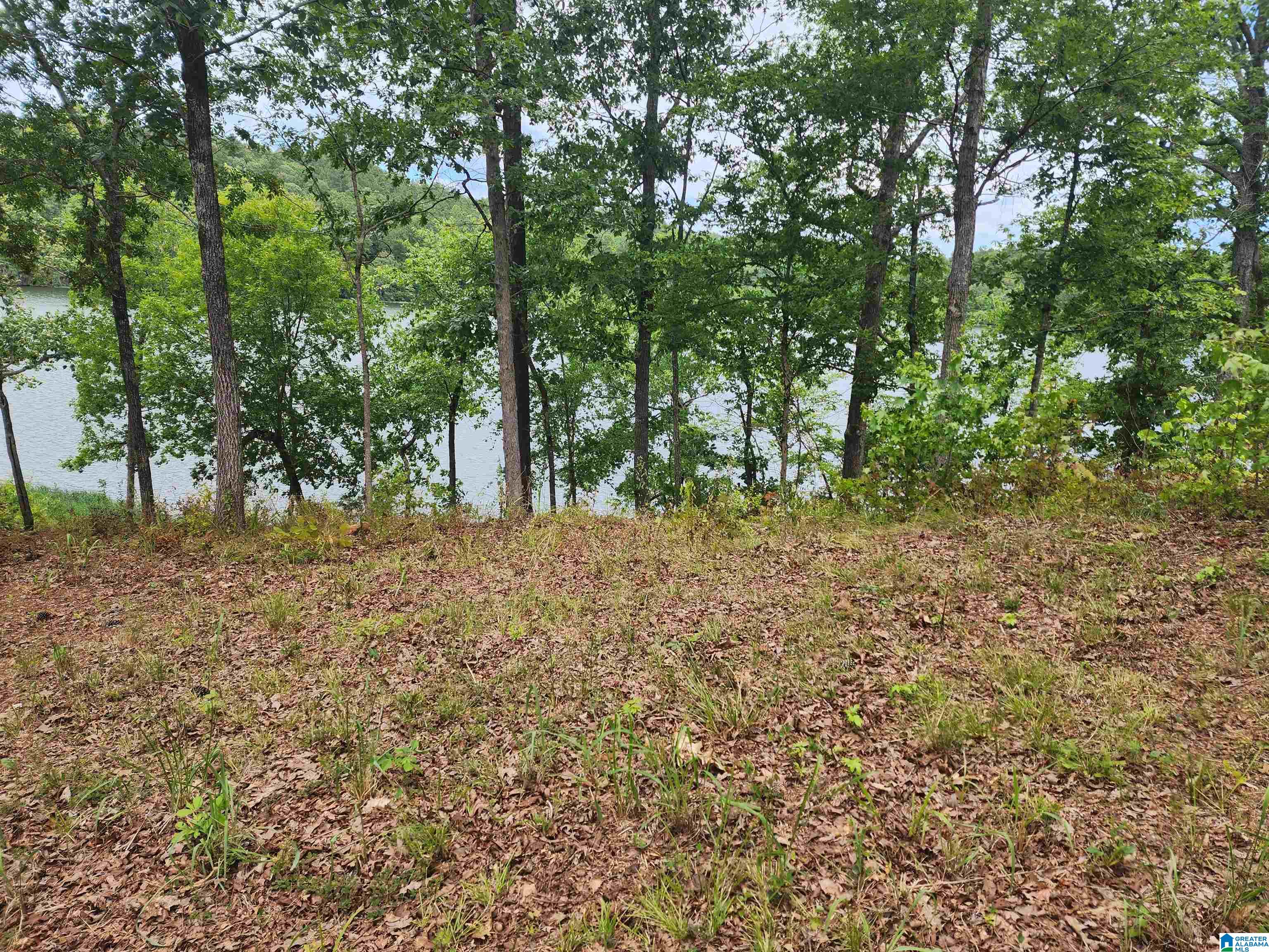 Lot 8 Eagle Mountain Road, Unit 8 Alexander City, AL 35010 - Photo 17 of 27