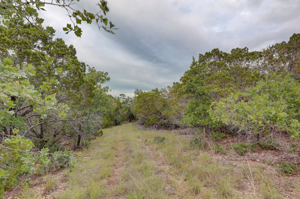 438 Yellowstone Lane Hunt, TX 78024 - Photo 17 of 47