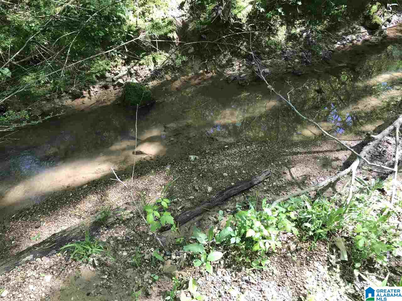 0 Acton Road, Unit 45 ACRE Moody, AL 35004 - Photo 8 of 12