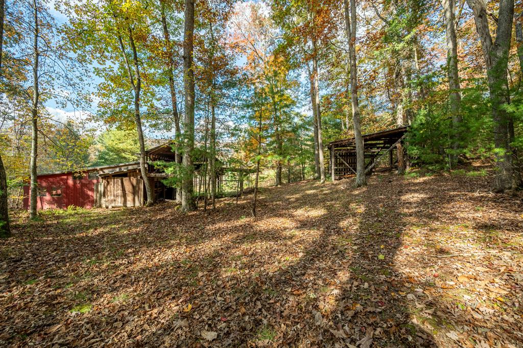 4149 Suiter Road Bastian, VA 24314 - Photo 84 of 98 Gallery Image 84