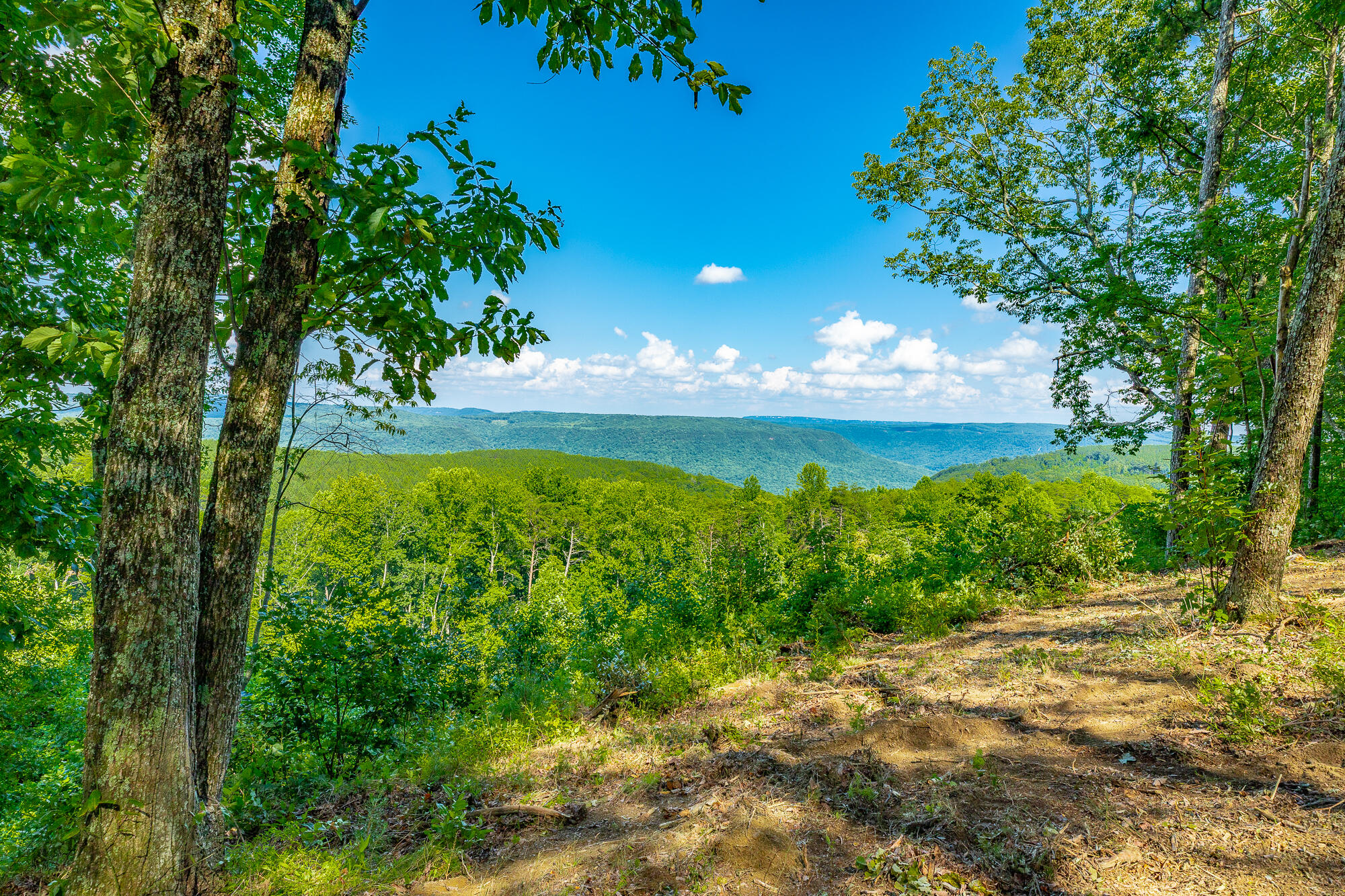 0 High Ground Road, Unit 2222 Guild, TN 37340 - Photo 9 of 110 0 High Ground Road Lot 2222 HD-74