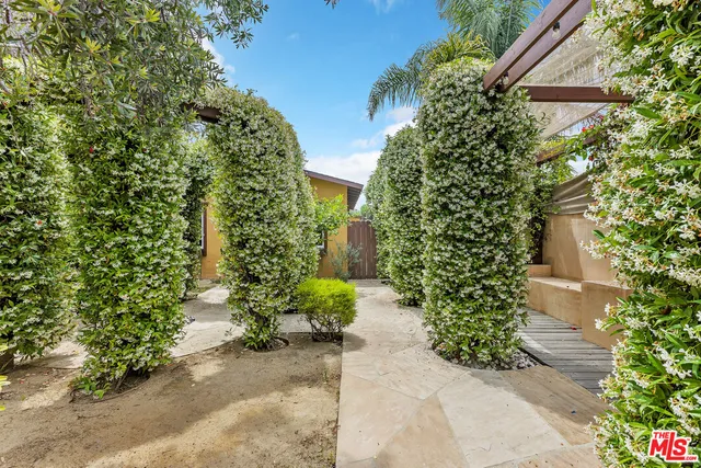 a view of a pathway with plants and large trees