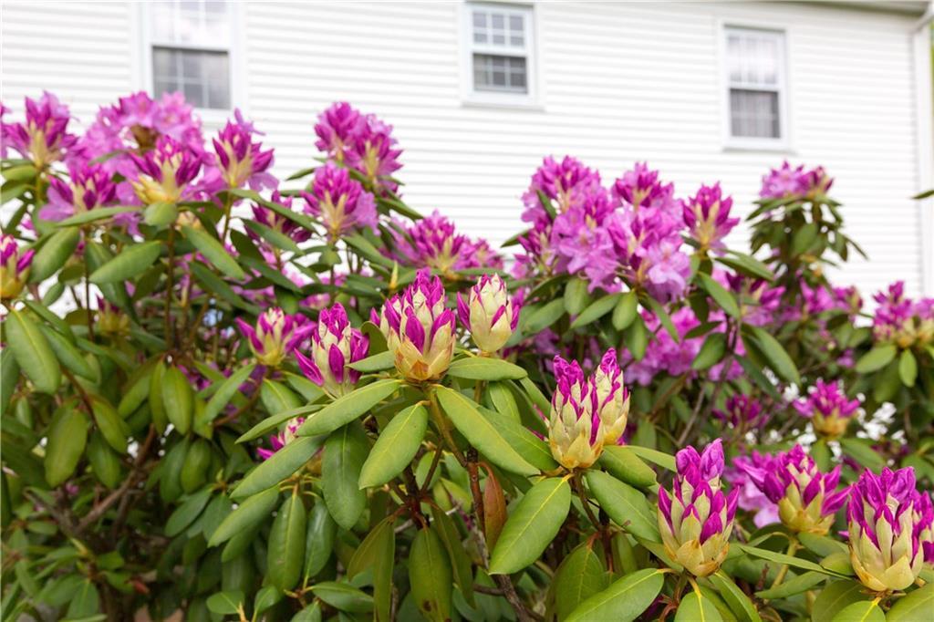 83 Flaggy Meadow Road Gorham, ME 04038 - Photo 28 of 35 Photo
