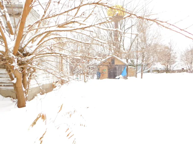 $70,000 | 111 East St Marys Street, Decatur, MI 49045