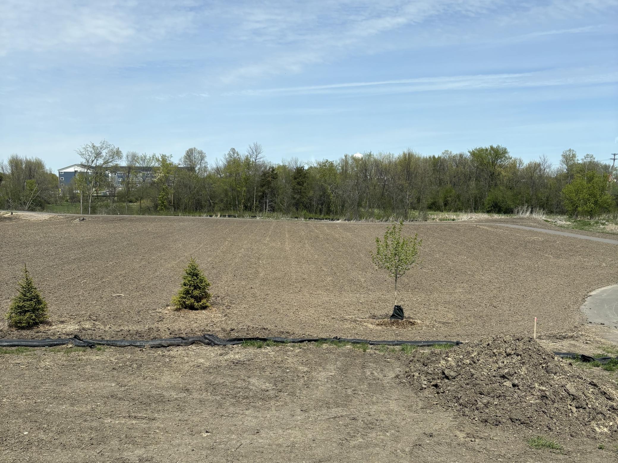 907 Harvest Trail Buffalo, MN 55313 - Photo 2 of 24