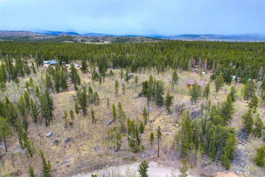 255 Quarry Road Fairplay, CO 80440 - Photo 1 of 11 Gallery Image 1