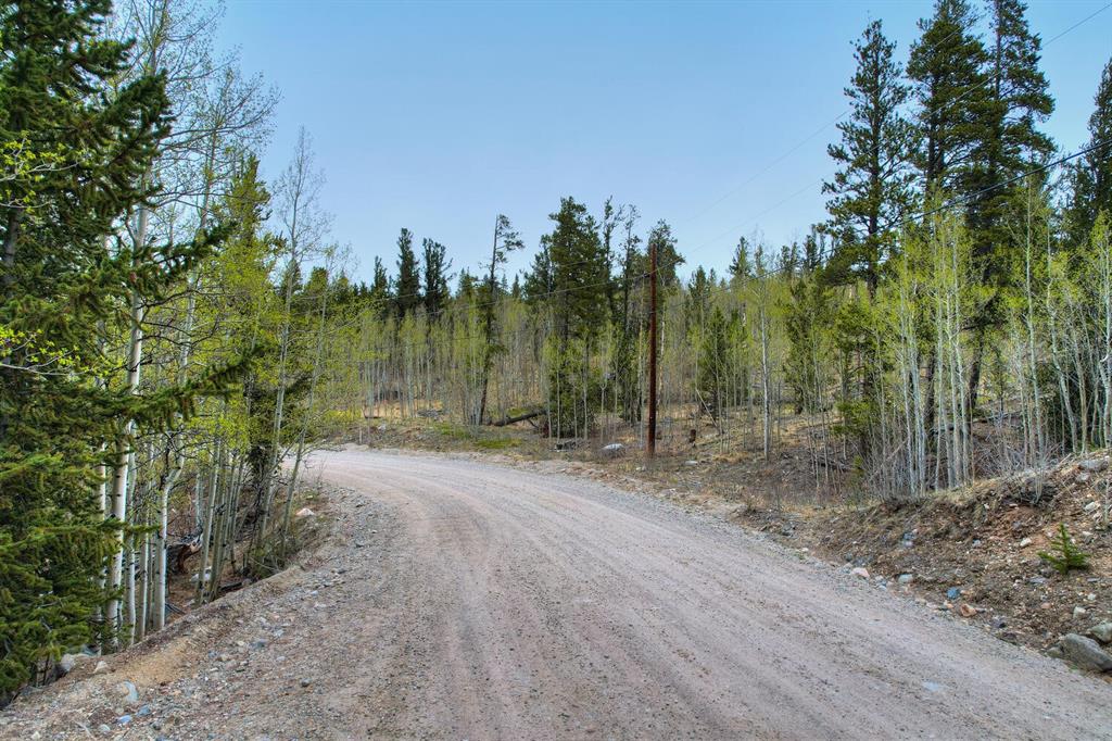 255 Quarry Road Fairplay, CO 80440 - Photo 11 of 11 Gallery Image 11