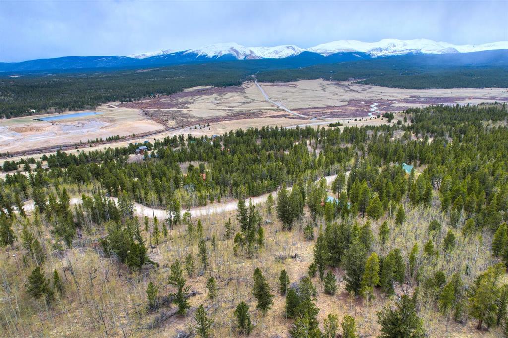 255 Quarry Road Fairplay, CO 80440 - Photo 3 of 11 Gallery Image 3