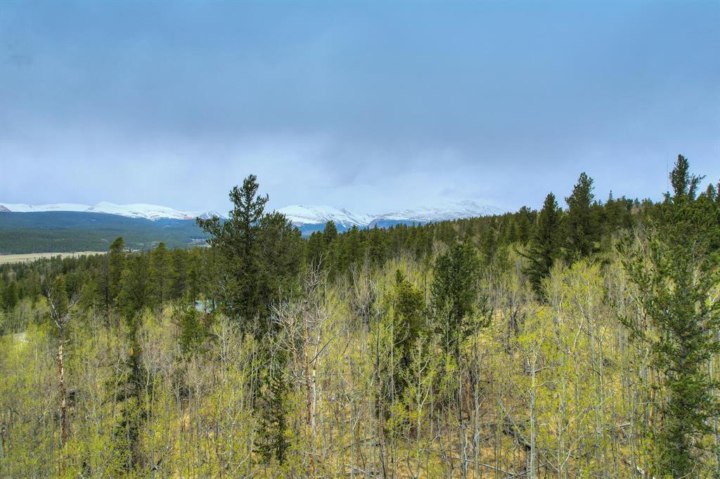 255 Quarry Road Fairplay, CO 80440 - Photo 9 of 11 Gallery Image 9