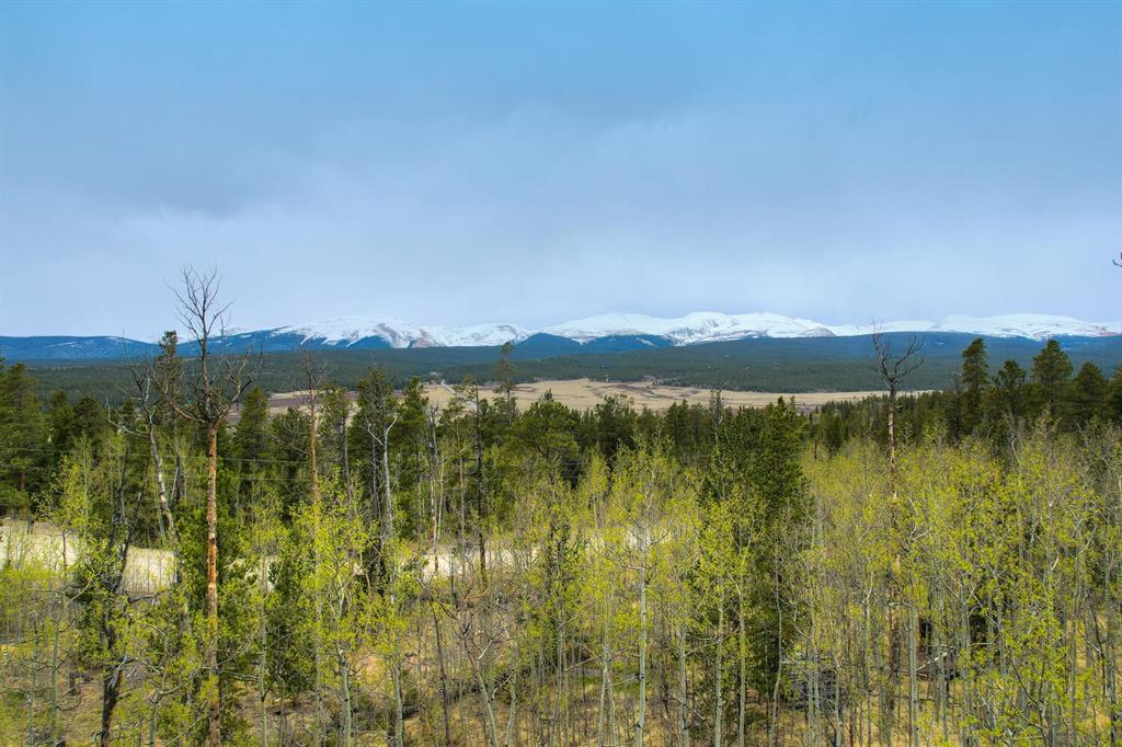 255 Quarry Road Fairplay, CO 80440 - Photo 10 of 11 Gallery Image 10