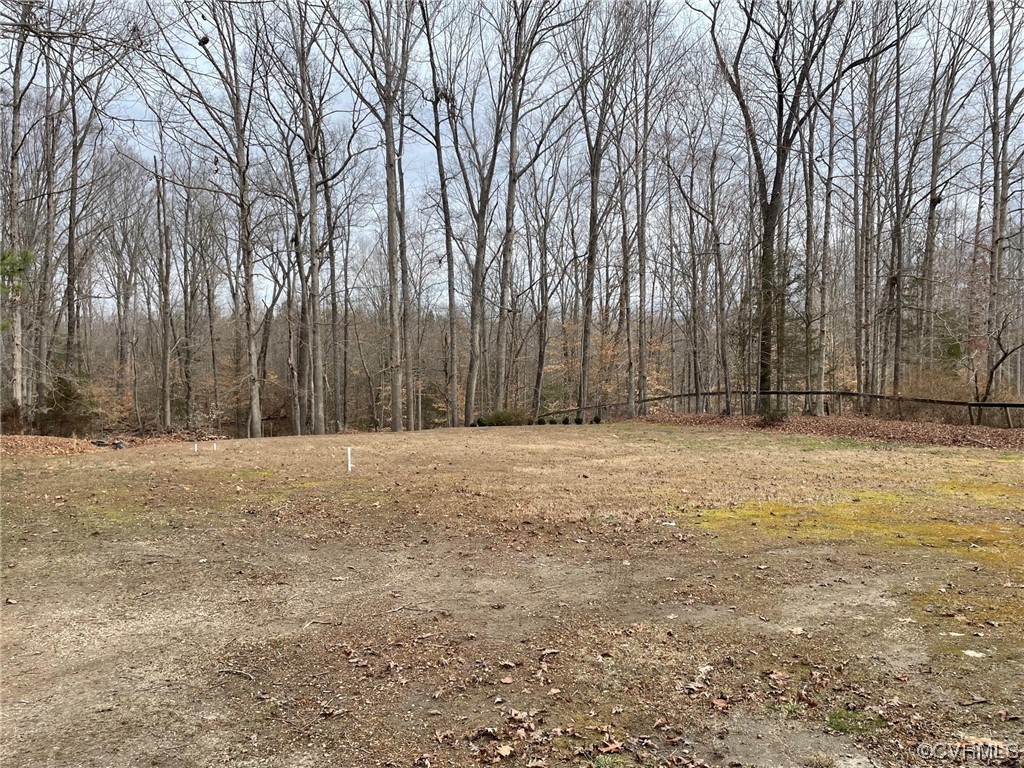 1655 Mahixon Road Manquin, VA 23106 - Photo 25 of 28 Gallery Image 25