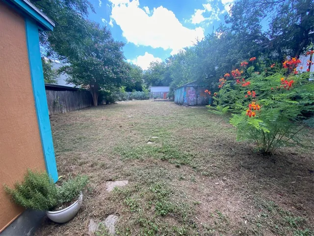 a backyard with potted plants and a large tree