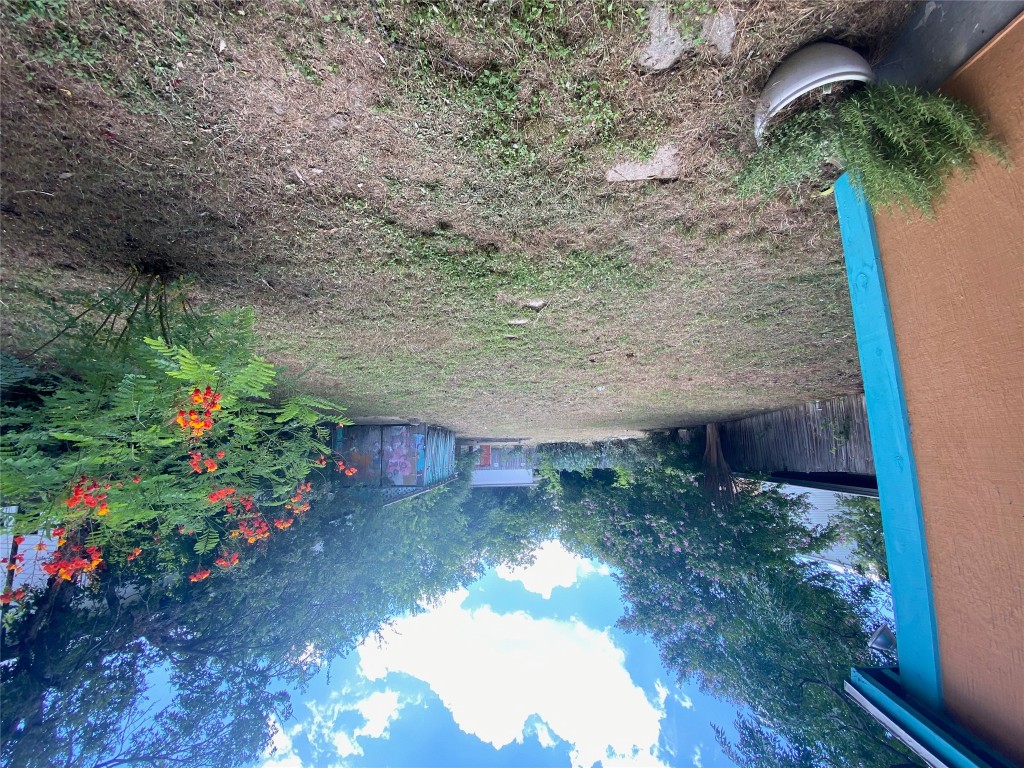 5513 Woodrow Avenue Austin, TX 78756 - Photo 17 of 17 a backyard with potted plants and a large tree