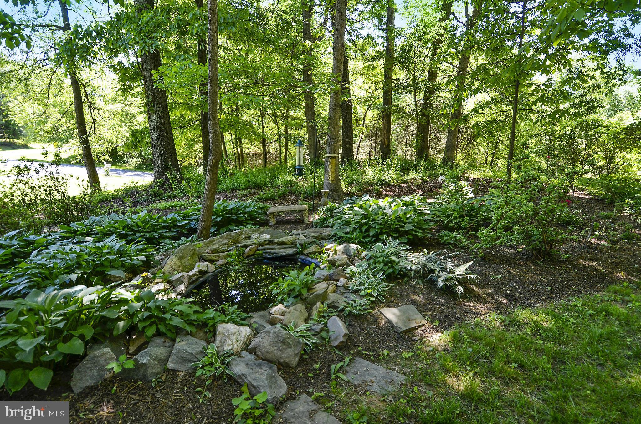 21013 Sunnyacres Road Gaithersburg, MD 20882 - Photo 3 of 30 a view of forest