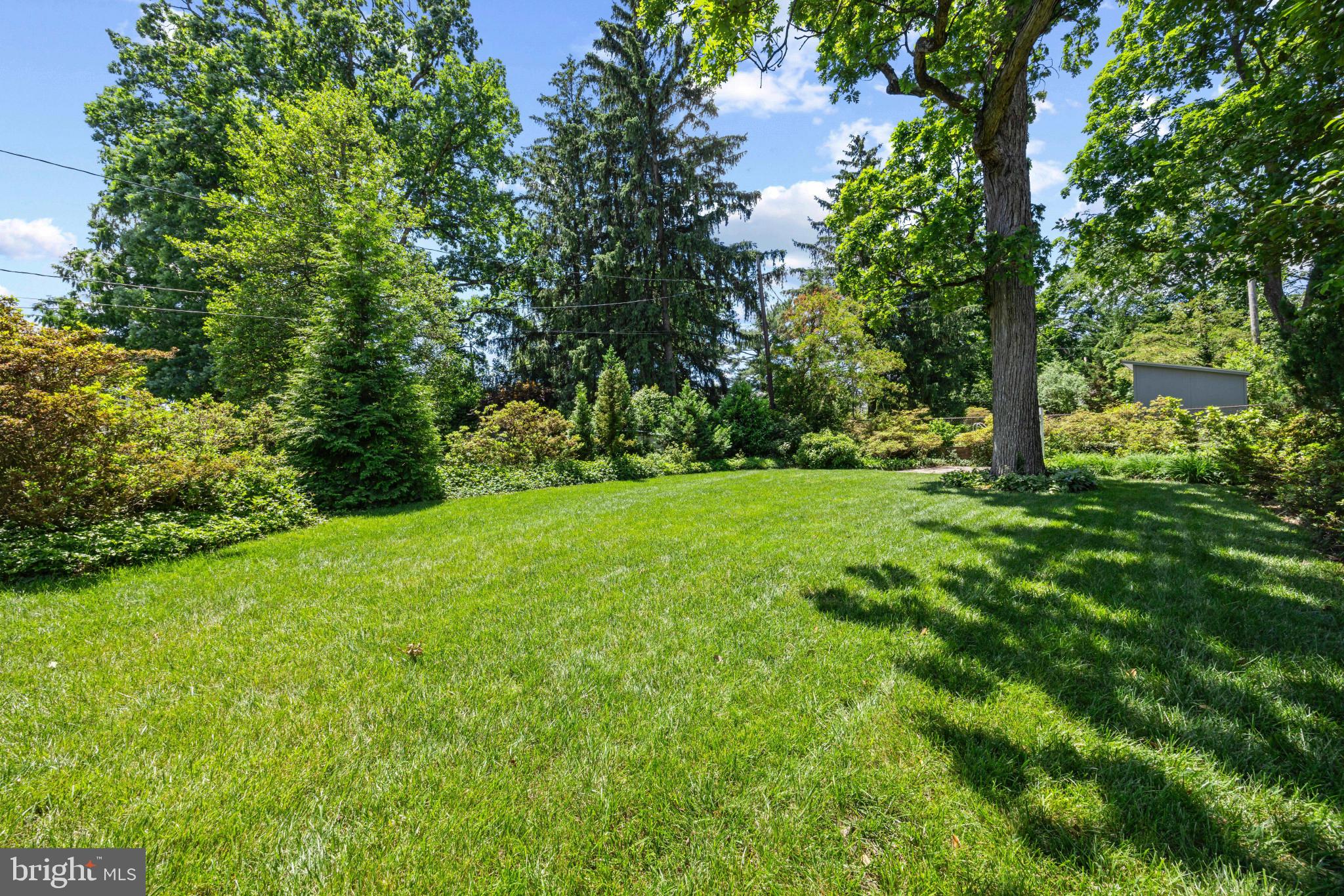 6506 Beverly Road Baltimore, MD 21239 - Photo 50 of 66 Backyard