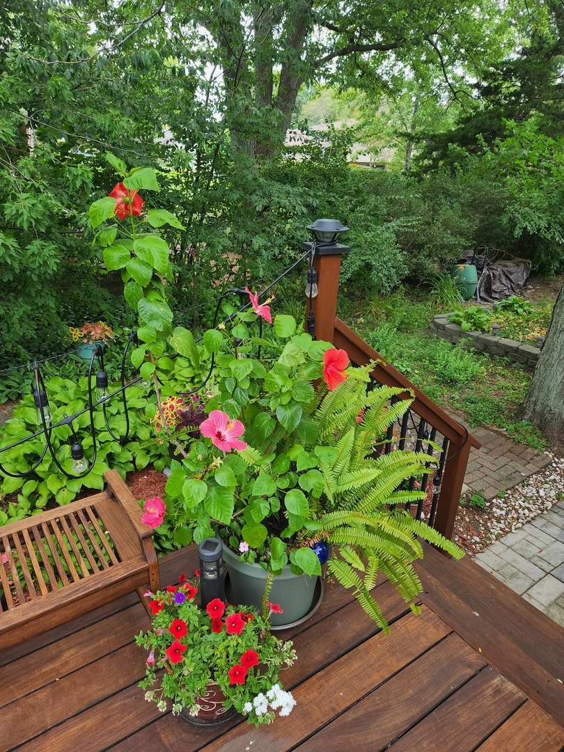 300 Harper Court Normal, IL 61761 - Photo 47 of 56