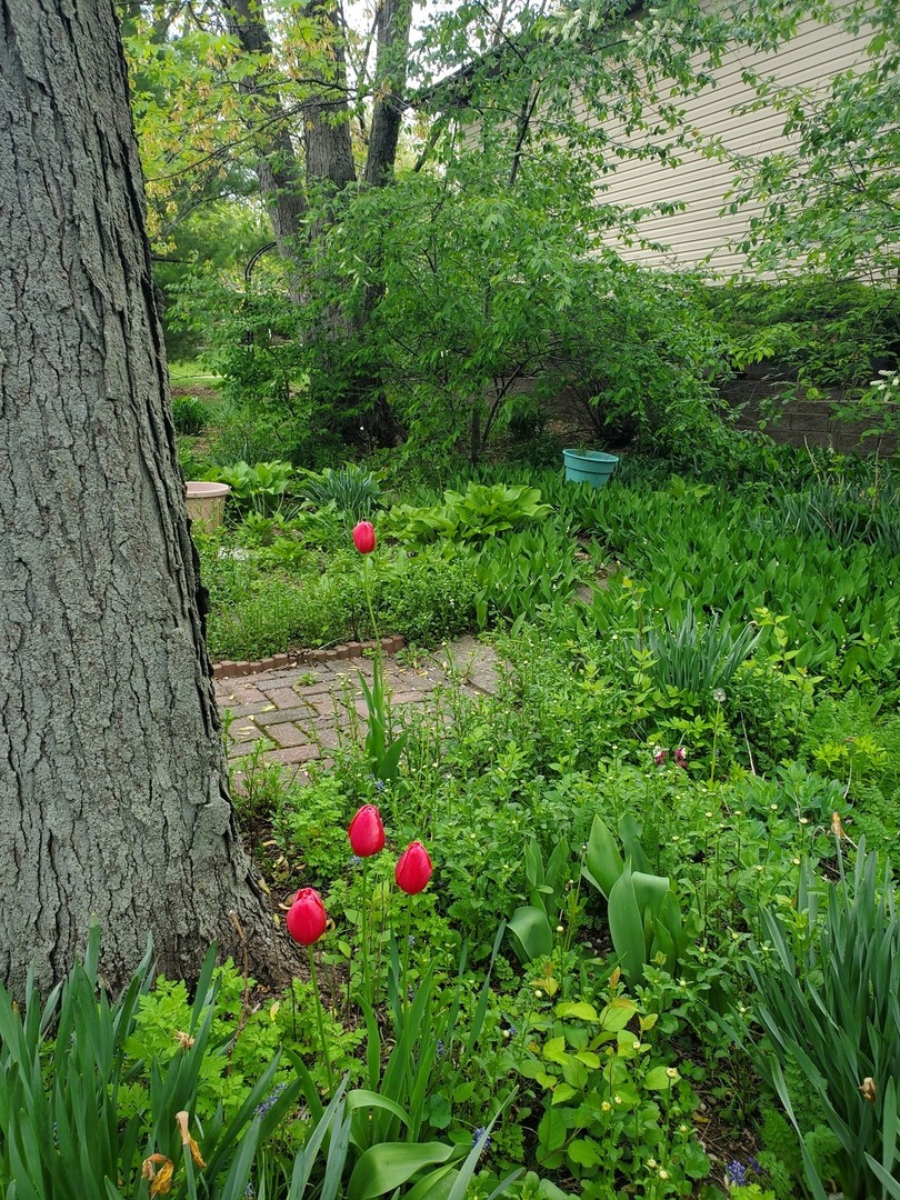 300 Harper Court Normal, IL 61761 - Photo 48 of 56