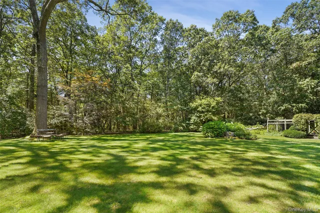 a backyard of a house with lots of green space and trees