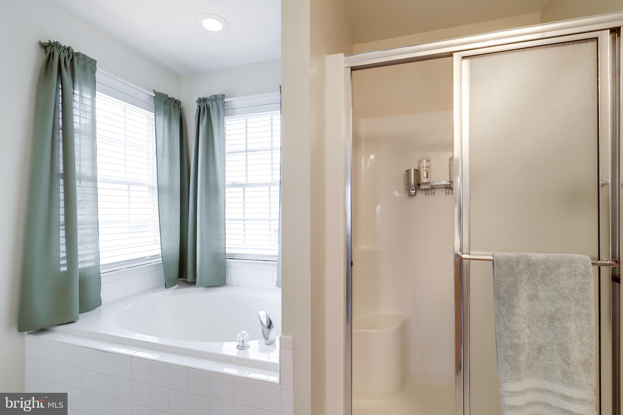 29 Cavalry Ridge Road Fredericksburg, VA 22405 - Photo 27 of 50 Shower and soaking tub