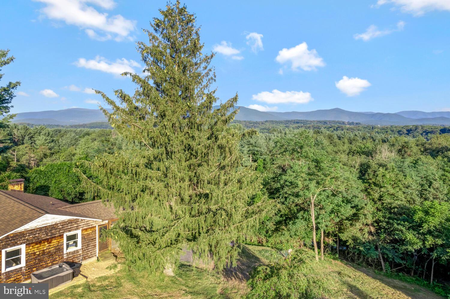 6235 South Page Valley Road Luray, VA 22835 - Photo 44 of 52 Serene views with towering pines.