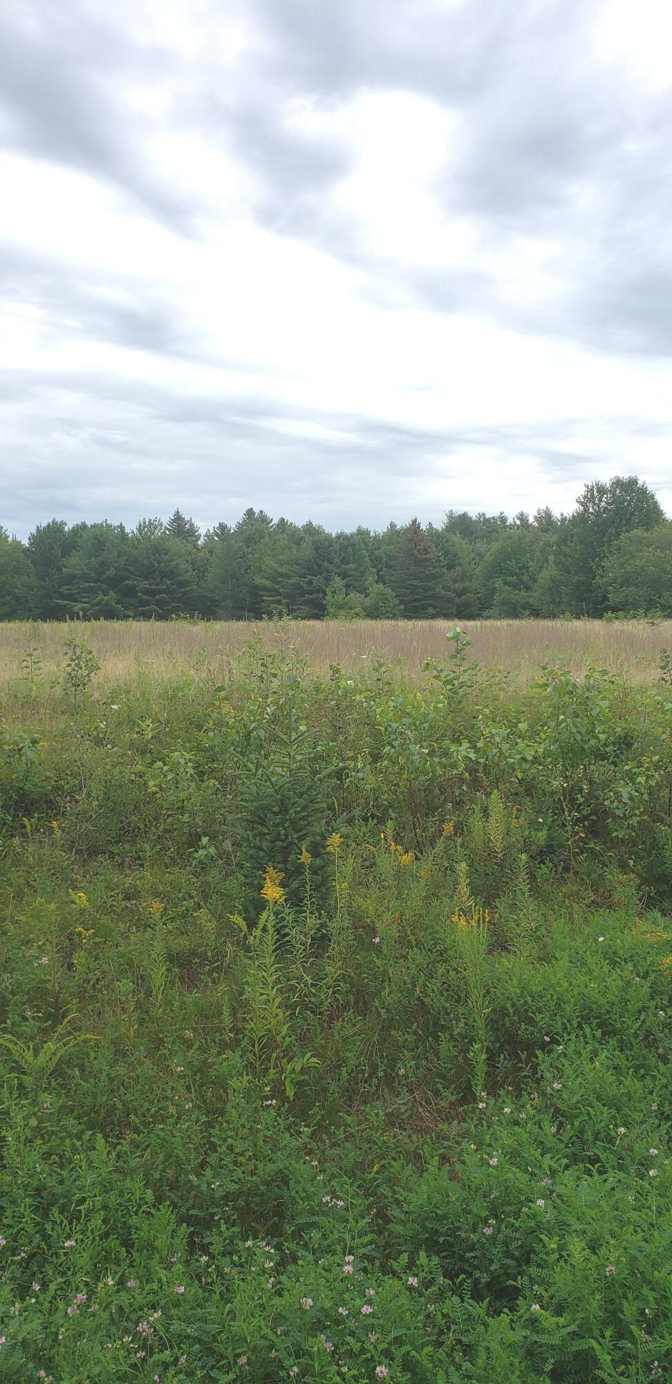 8 Lakewood Road Madison, ME 04950 - Photo 2 of 4 20210819_122231