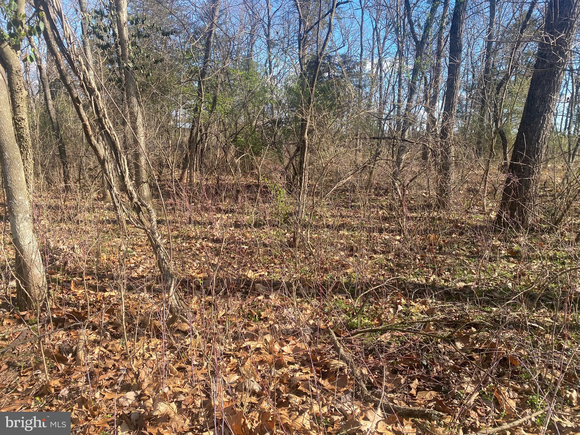 Lot B Lot B Hinton Road Kearneysville, WV 25430 - Photo 2 of 2 Gallery Image 2