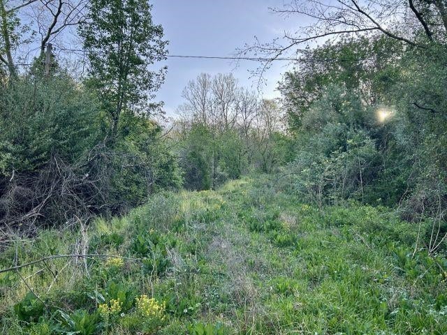 5.383-ac Falls Branch Road, Unit ROUTE 152 Lavalette, WV 25535 - Photo 3 of 9 Gallery Image 3