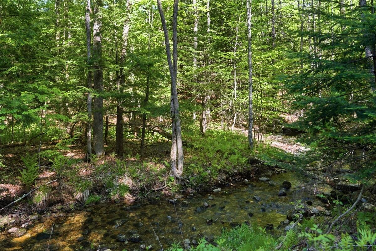 263 Number Six Road Oxford, ME 04270 - Photo 24 of 72 Acreage
