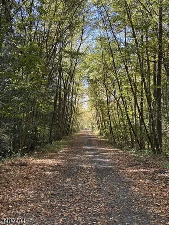 a front view of a house with plants