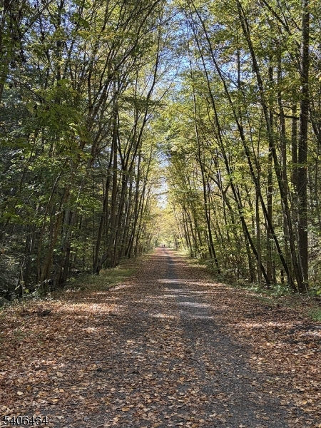 70 South Shore Road Andover, NJ 07821 - Photo 25 of 25 a view of backyard with outdoor space
