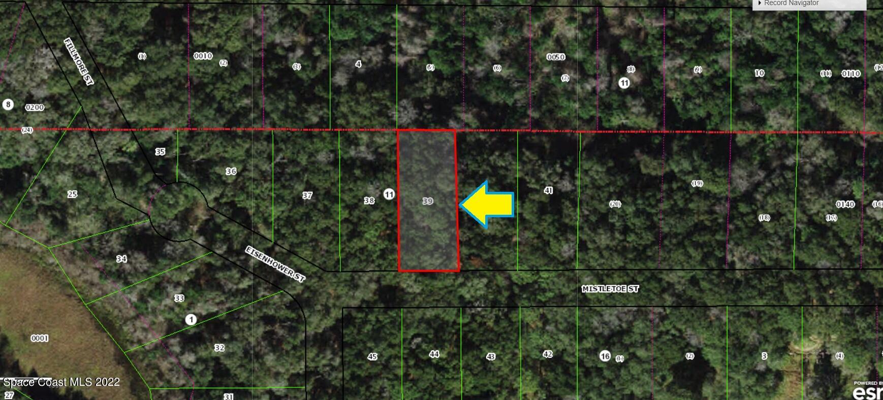 2110 Mistletoe Street Inverness, FL 34453 - Photo 2 of 5