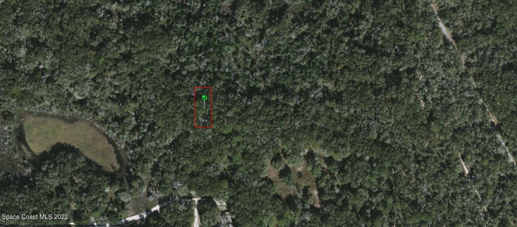 2110 Mistletoe Street Inverness, FL 34453 - Photo 4 of 5 a view of a forest with a tree