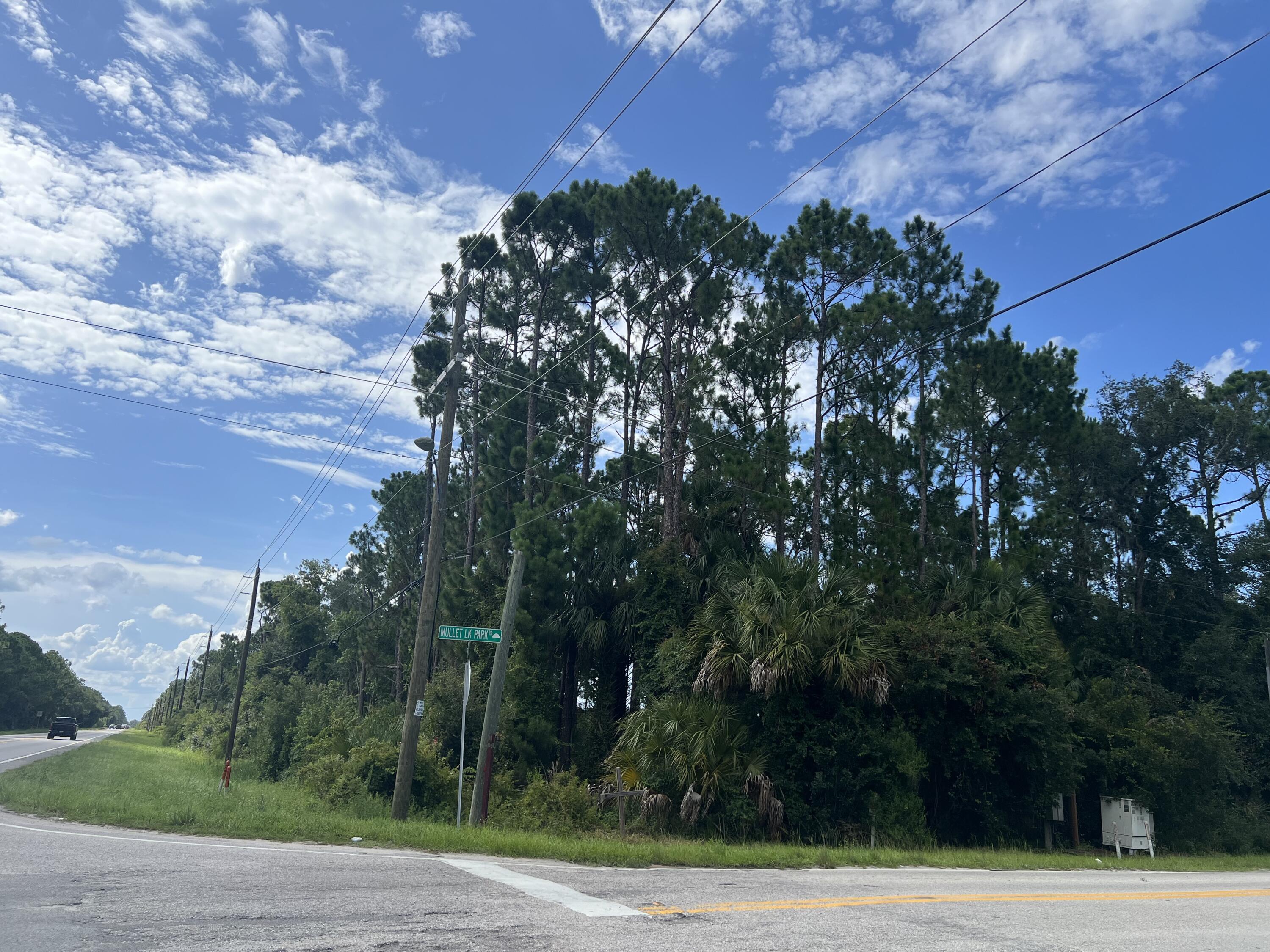 0 Highway 46 Geneva, FL 32732 - Photo 1 of 6 IMG_6321