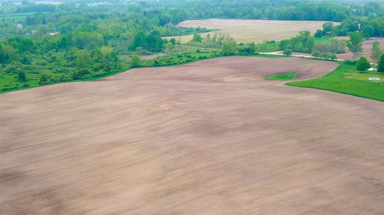 Tbd 7 Mile (86.47 Acres) Road Remus, MI 49340 - Photo 16 of 29