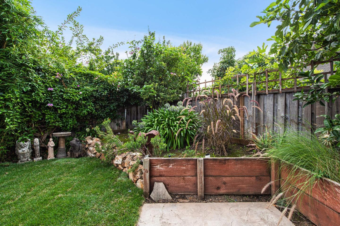 222 North 3rd Street Campbell, CA 95008 - Photo 31 of 35 a view of a backyard with plants