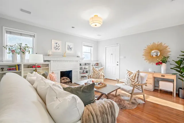 a living room with furniture potted plant and a fireplace