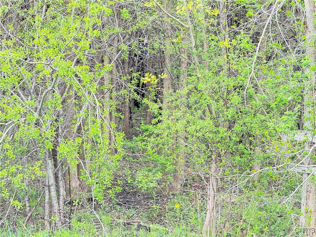 0 Klocks Corners Road Oswego, NY 13126 - Photo 9 of 20